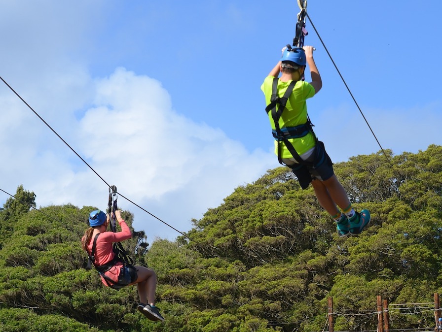 team bonding ziplining activity